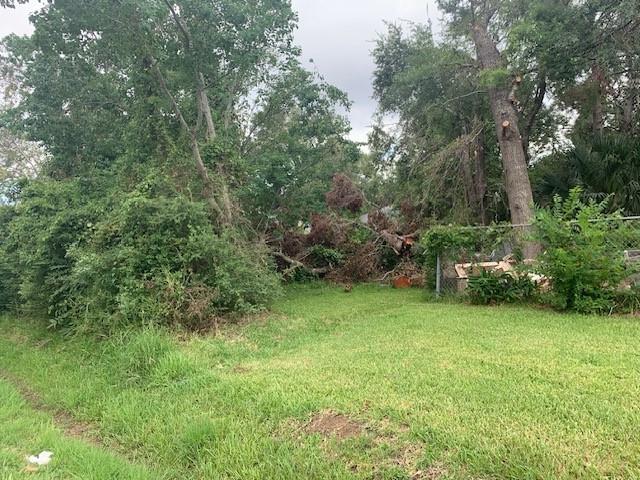 500 BLOCK S Brownell Street, La Porte, Texas image 1