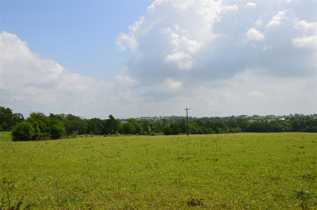 TBD Fm 149 Road, Anderson, Texas image 9