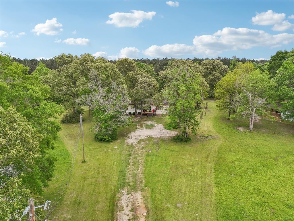 11754 E Old Oak Trail, Willis, Texas image 42