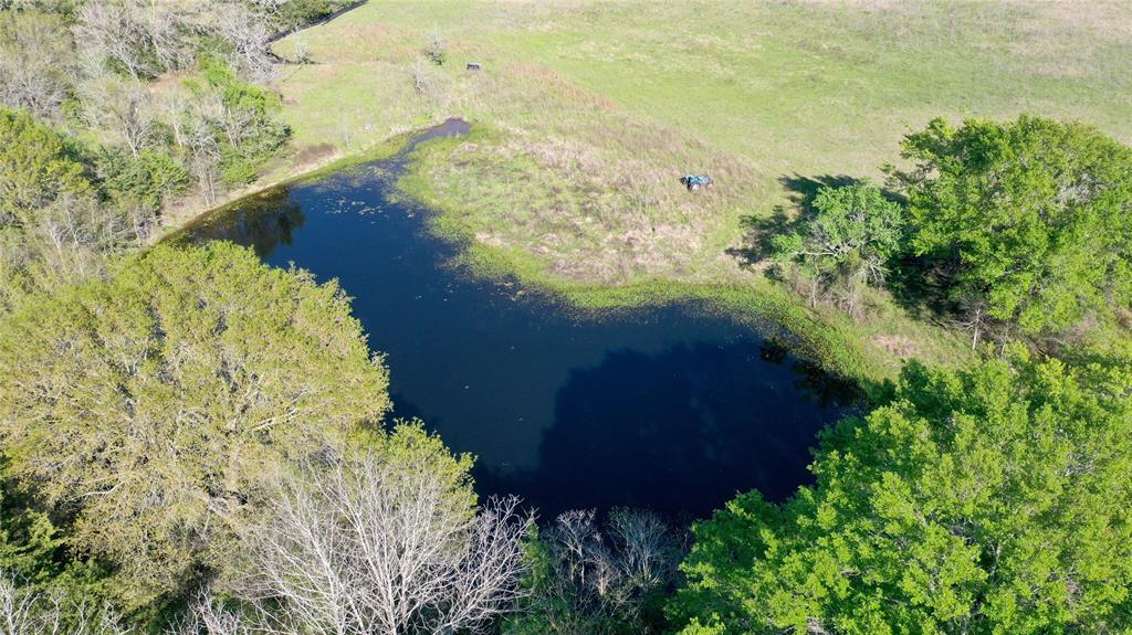 19046 County Road 124, Bedias, Texas image 26