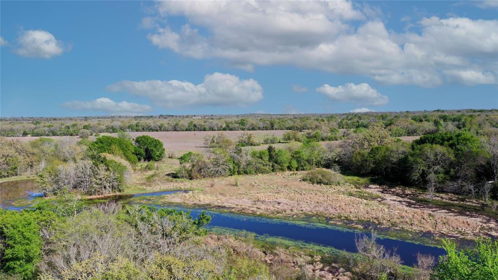 19046 County Road 124, Bedias, Texas image 4