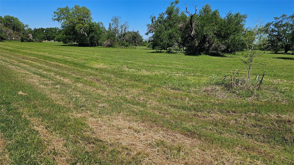 1601 Old Henry Court, Angleton, Texas image 16