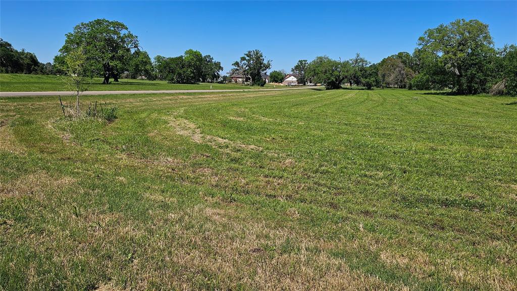 1601 Old Henry Court, Angleton, Texas image 14