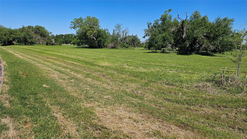1601 Old Henry Court, Angleton, Texas image 15