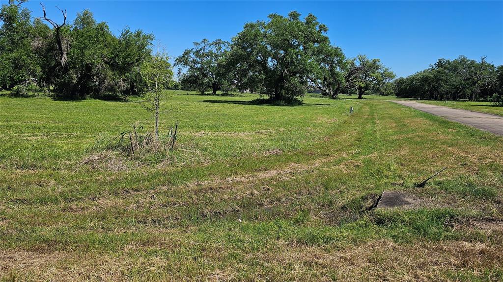 1601 Old Henry Court, Angleton, Texas image 17