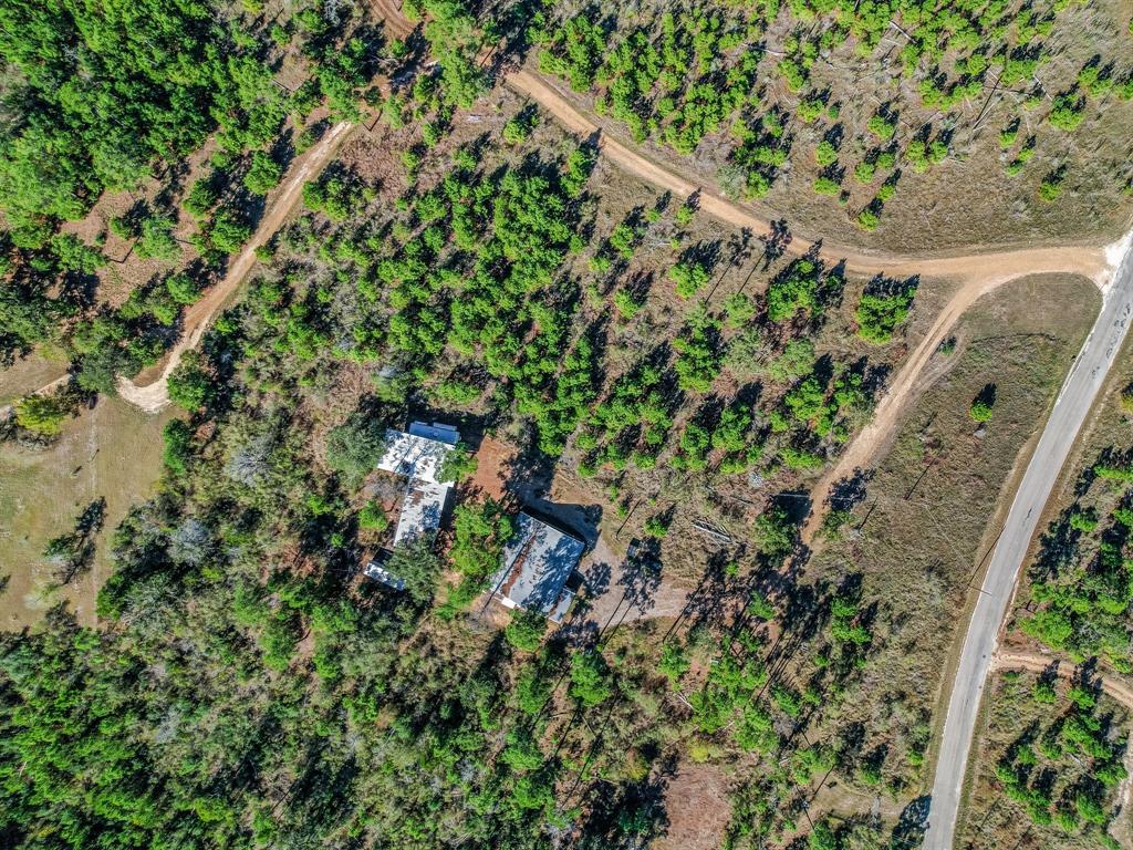 109 Tall Pines Road, Smithville, Texas image 16