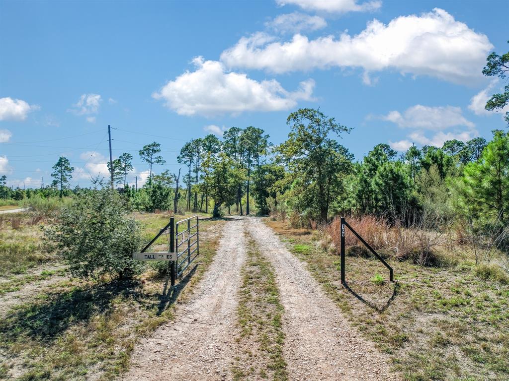 109 Tall Pines Road, Smithville, Texas image 8