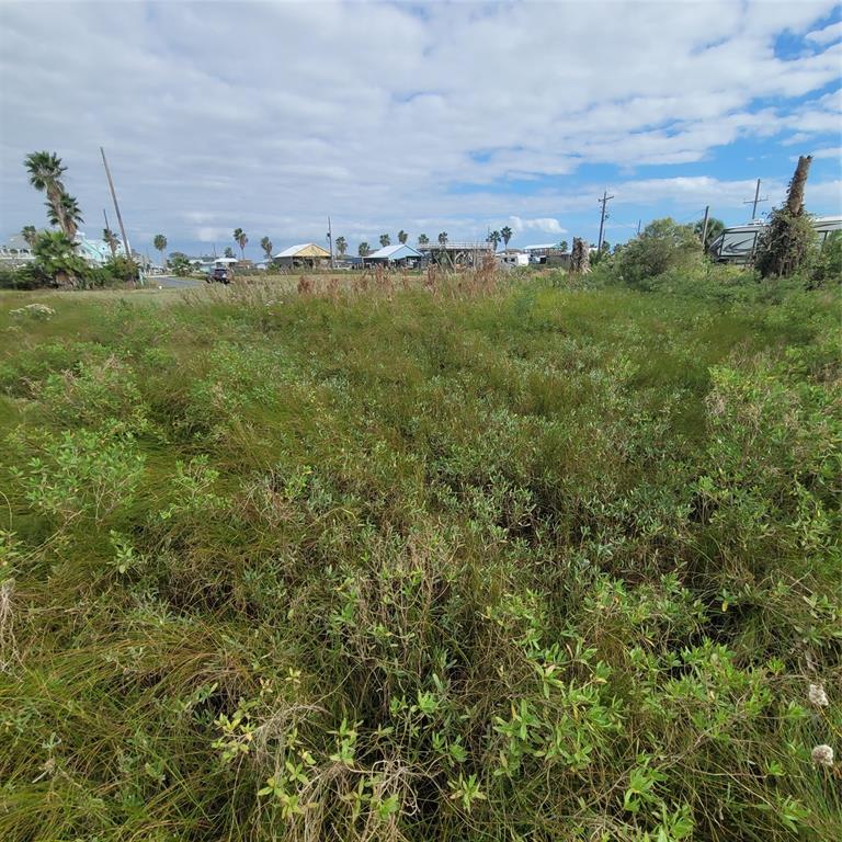 1287 N Monkhouse Drive, Port Bolivar, Texas image 10