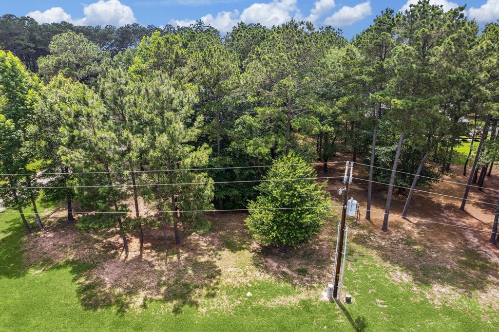 L#3 Woodforest Drive, Waller, Texas image 1