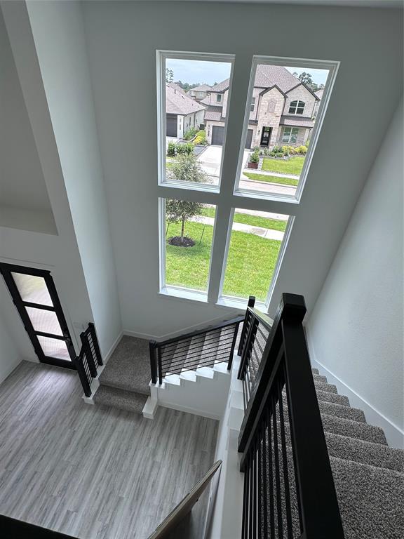 14216 Silver Maple Court, Conroe, Texas image 23