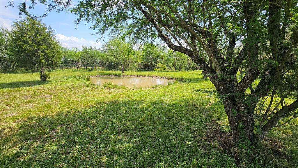 2144 Maler Road, Sealy, Texas image 43