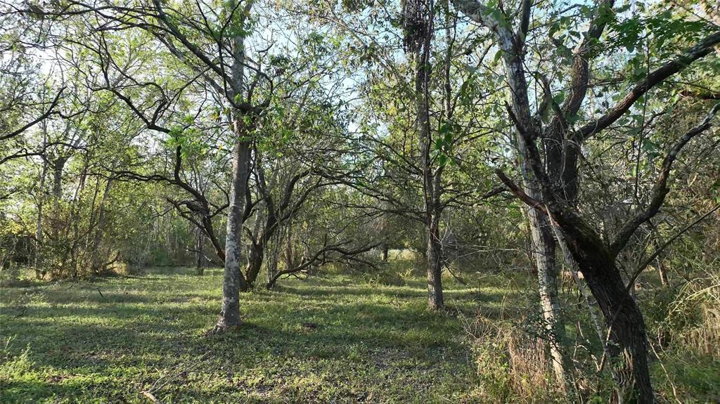 000 Kerr Rd, Brookshire, Texas image 33