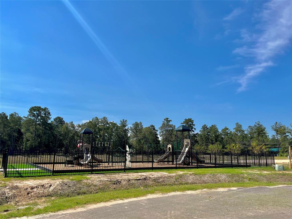 11915 Hedley Court, Conroe, Texas image 3