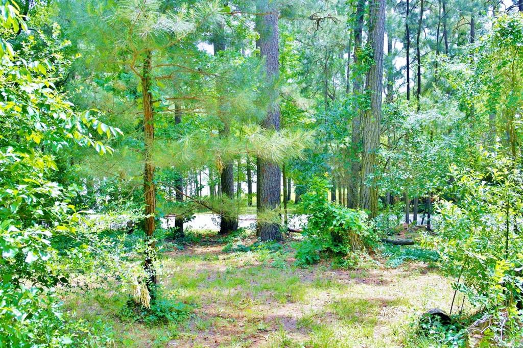 Lot 695 Lake Shore Drive, Coldspring, Texas image 18