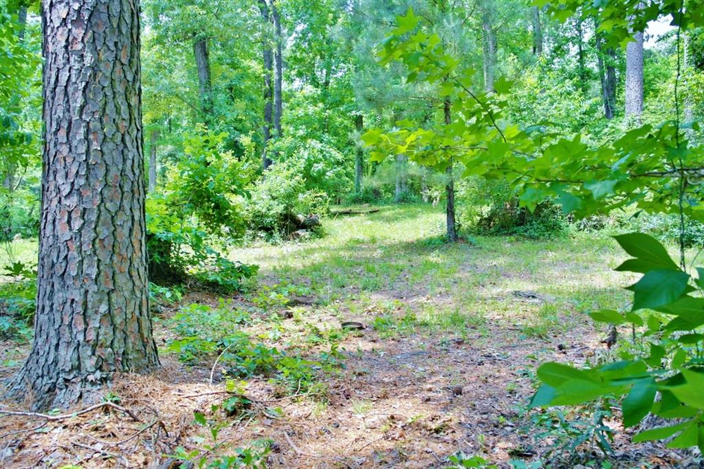 Lot 695 Lake Shore Drive, Coldspring, Texas image 1