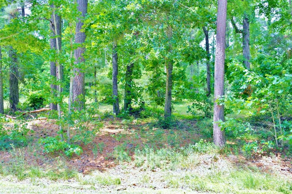 Lot 695 Lake Shore Drive, Coldspring, Texas image 14