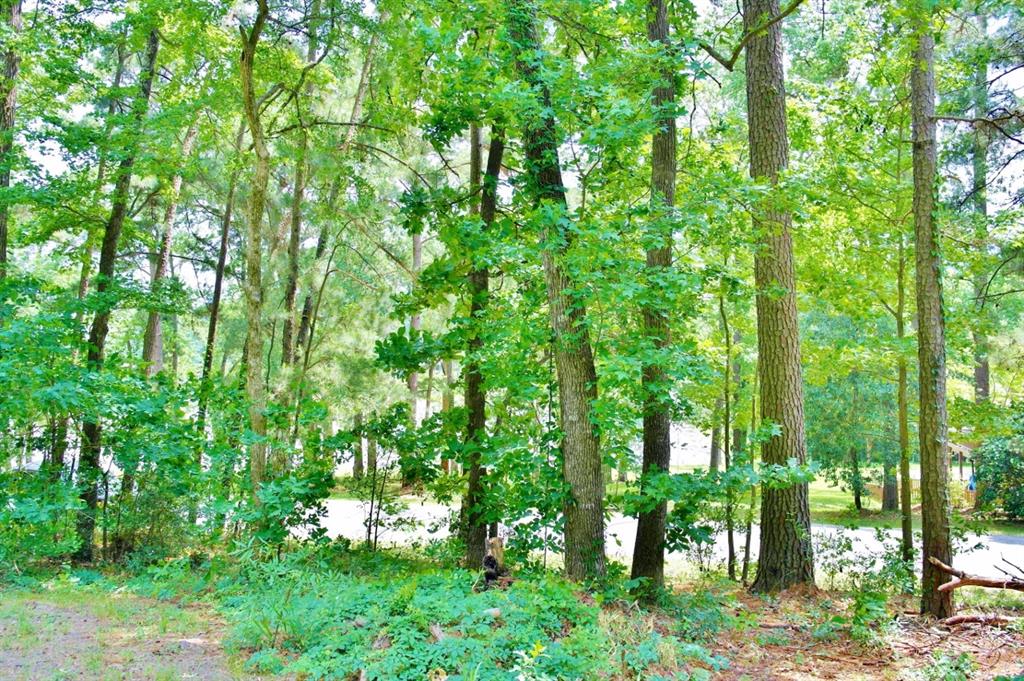 Lot 695 Lake Shore Drive, Coldspring, Texas image 17