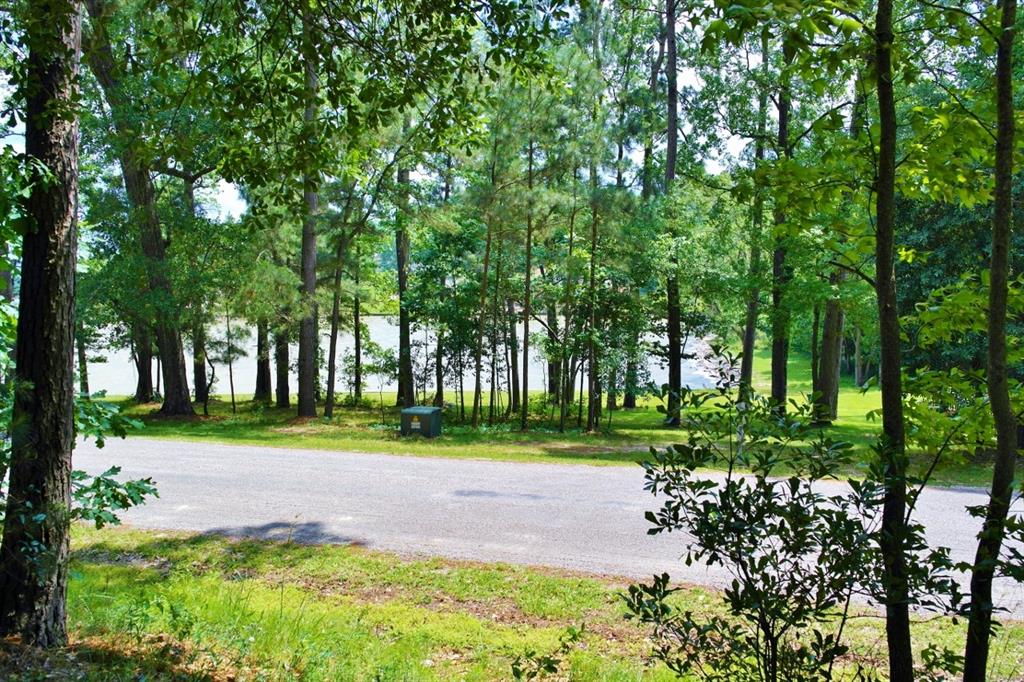 Lot 695 Lake Shore Drive, Coldspring, Texas image 3