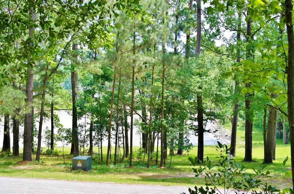 Lot 695 Lake Shore Drive, Coldspring, Texas image 5