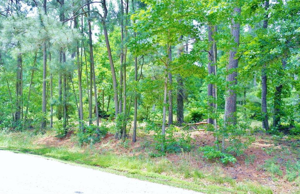 Lot 695 Lake Shore Drive, Coldspring, Texas image 12