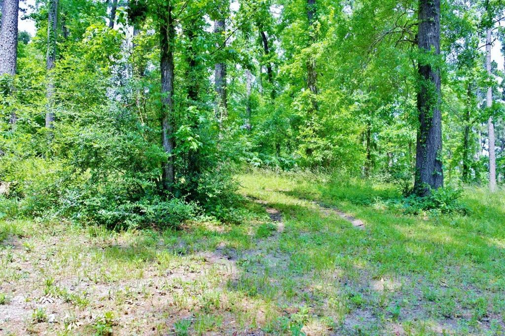 Lot 695 Lake Shore Drive, Coldspring, Texas image 16