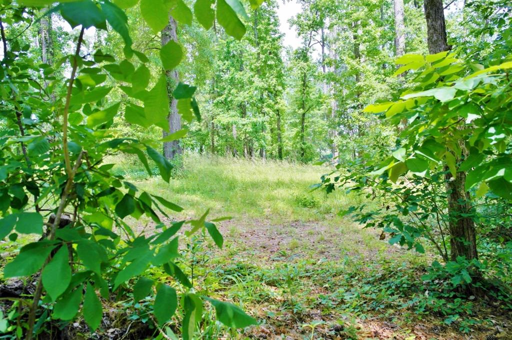 Lot 695 Lake Shore Drive, Coldspring, Texas image 2