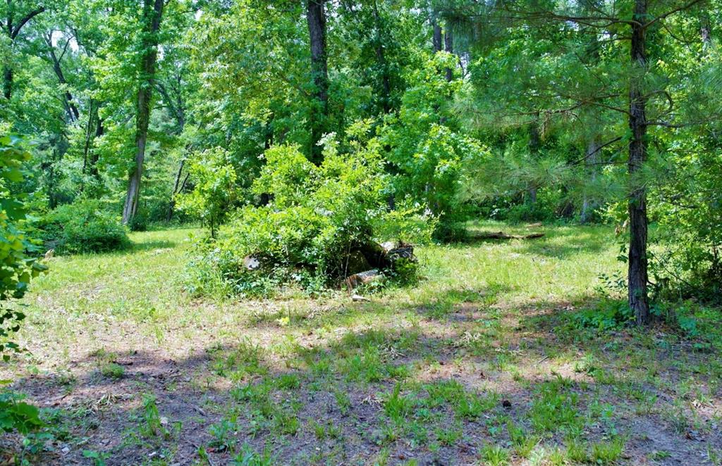 Lot 695 Lake Shore Drive, Coldspring, Texas image 15