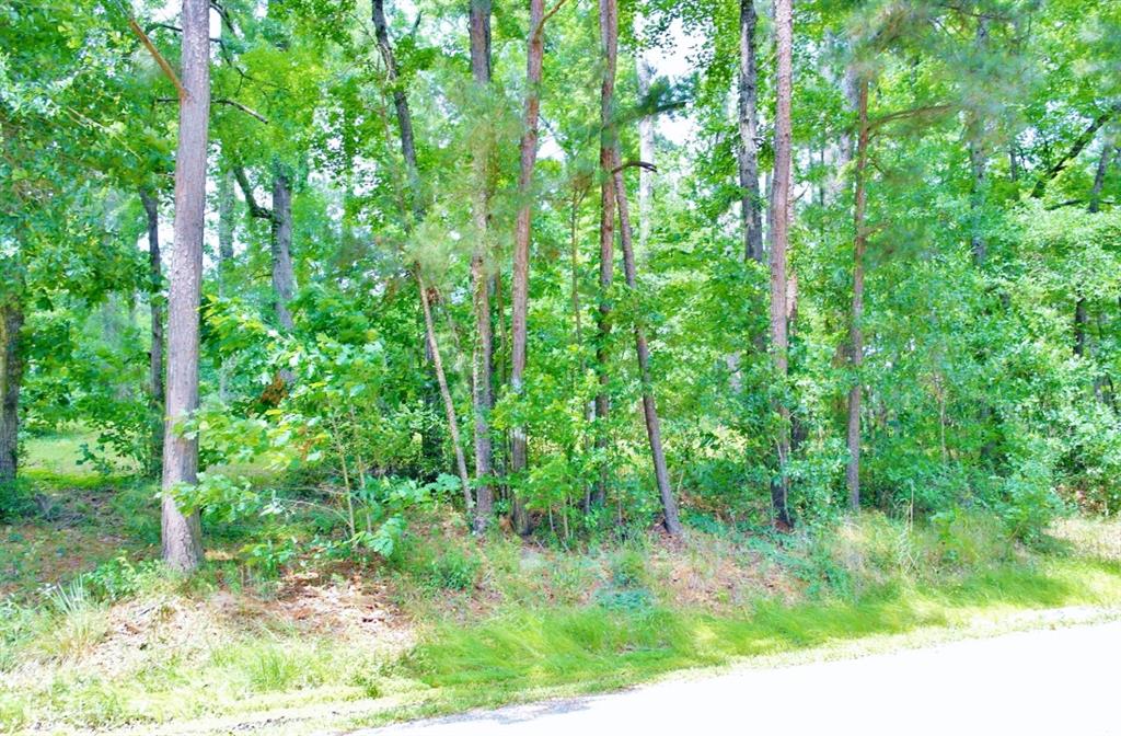 Lot 695 Lake Shore Drive, Coldspring, Texas image 13