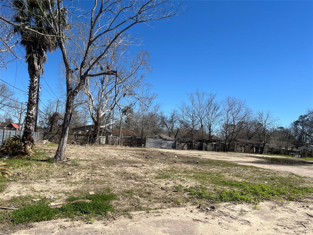 1903 Dolly Wright Street, Houston, Texas image 6