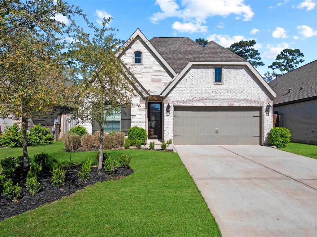 113 Dove Springs Court, Conroe, Texas image 1