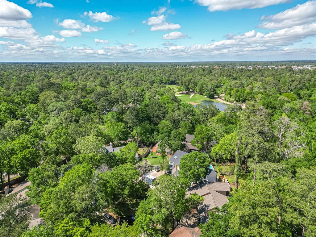 66 Lazy Lane, The Woodlands, Texas image 10