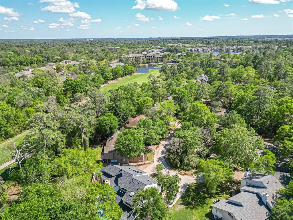 66 Lazy Lane, The Woodlands, Texas image 16