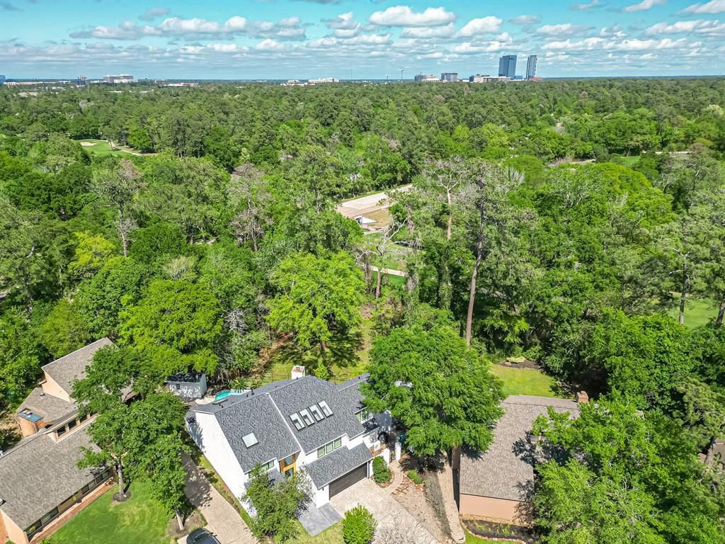 66 Lazy Lane, The Woodlands, Texas image 8