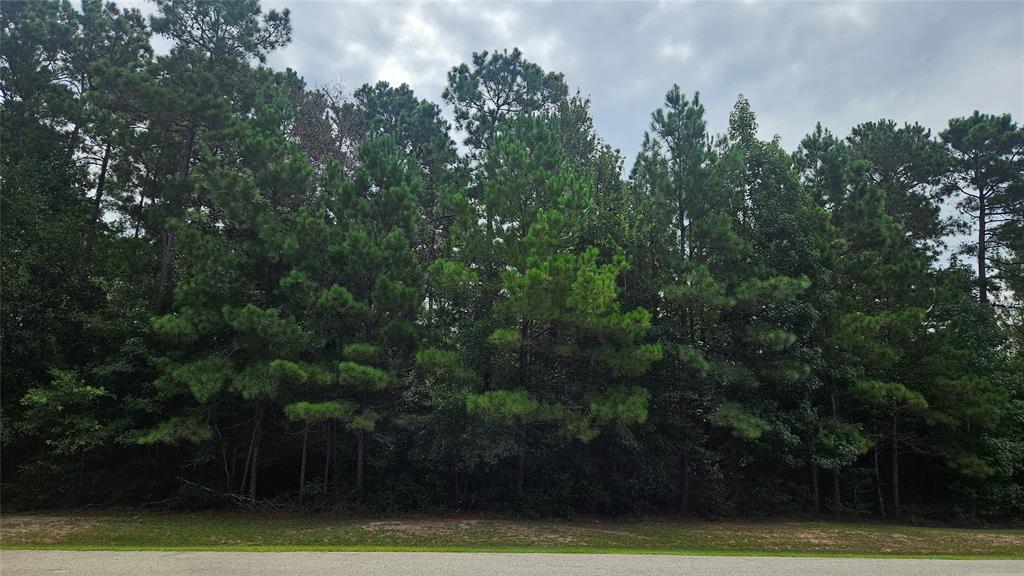 Lot 12 Bridle Court