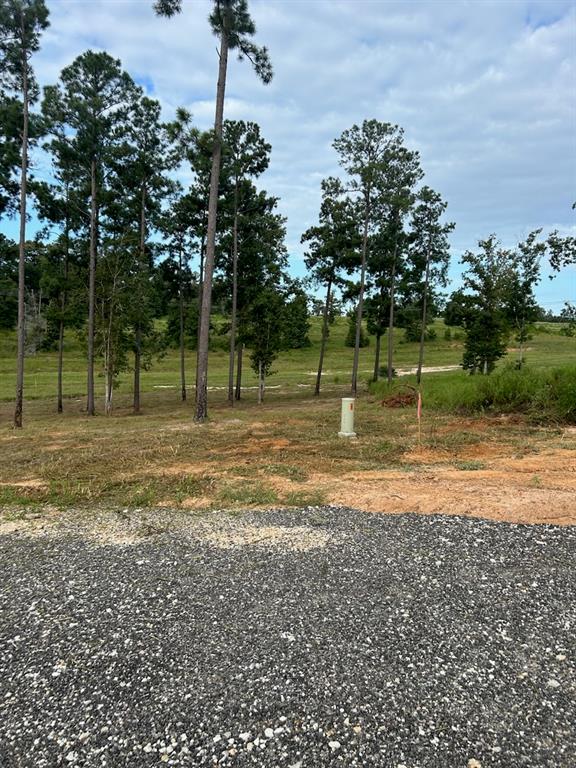 Lot 37 Anna Grace Road, Livingston, Texas image 6