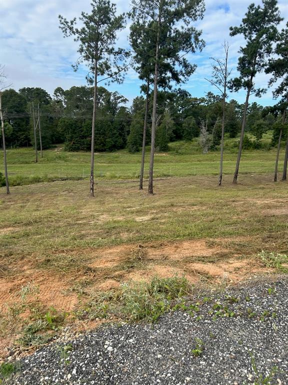 Lot 37 Anna Grace Road, Livingston, Texas image 4