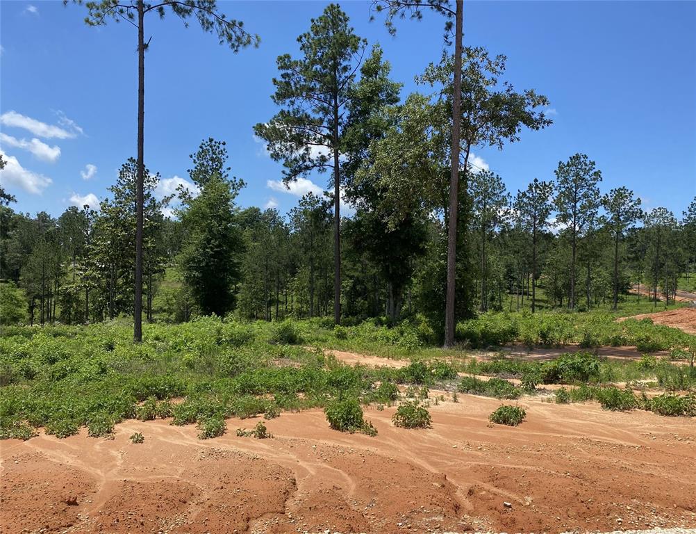 Lot 37 Anna Grace Road, Livingston, Texas image 10