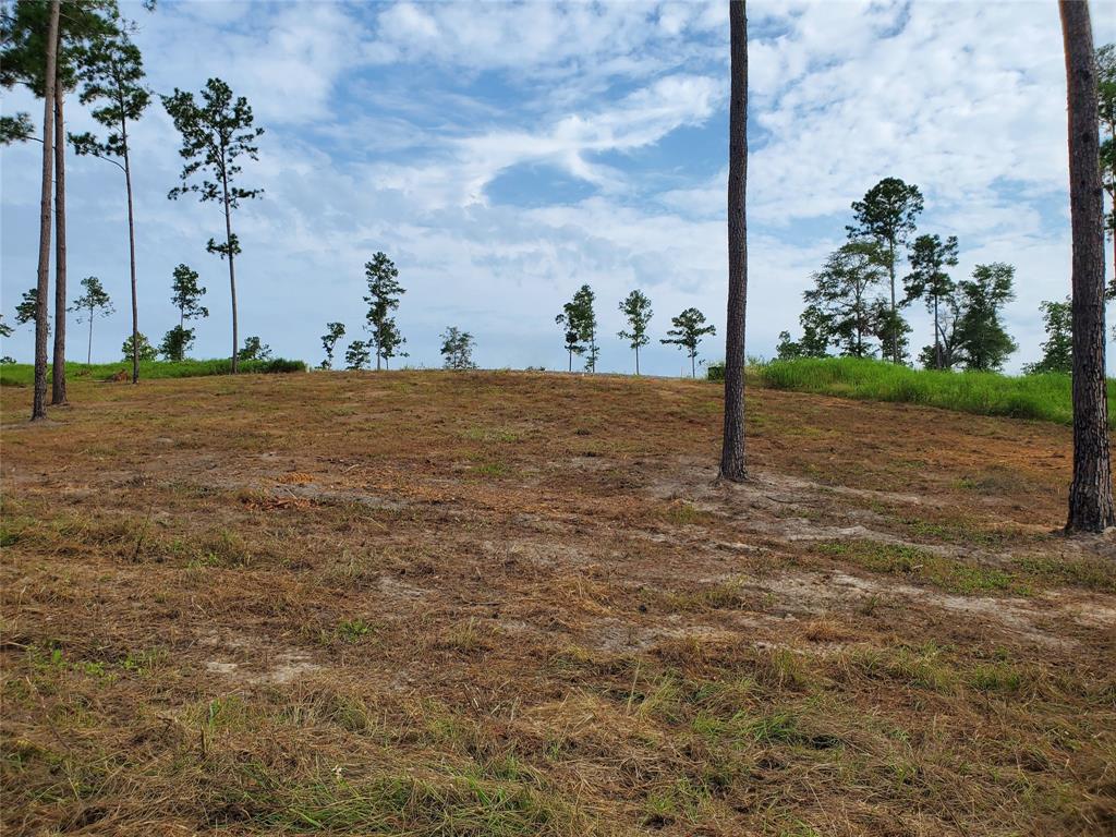 Lot 37 Anna Grace Road, Livingston, Texas image 2