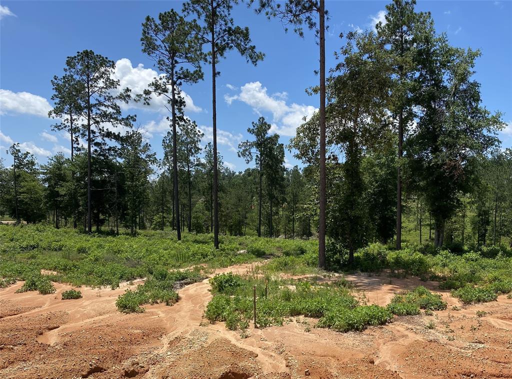 Lot 37 Anna Grace Road, Livingston, Texas image 9