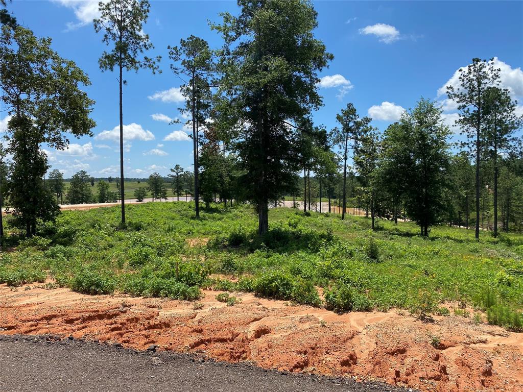 Lot 37 Anna Grace Road, Livingston, Texas image 7