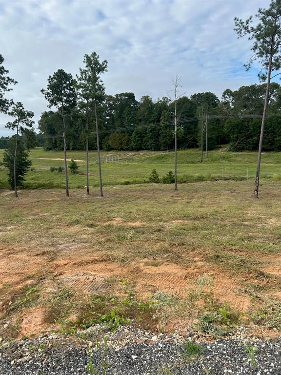 Lot 37 Anna Grace Road, Livingston, Texas image 3