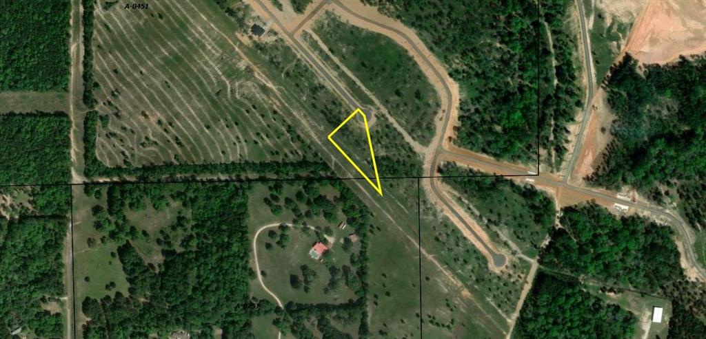 Lot 37 Anna Grace Road, Livingston, Texas image 12