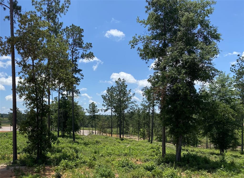 Lot 37 Anna Grace Road, Livingston, Texas image 8