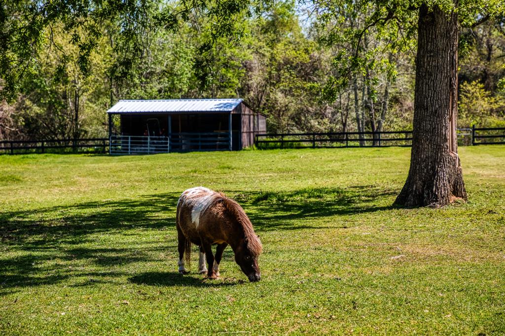 714 Superior Road Rd, Magnolia, Texas image 41