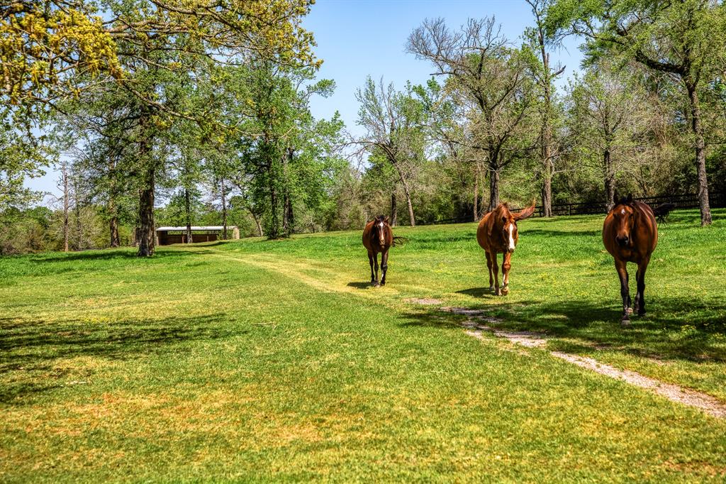714 Superior Road Rd, Magnolia, Texas image 1