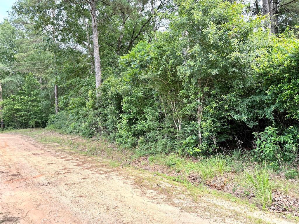 Twin Oaks Drive, Coldspring, Texas image 2
