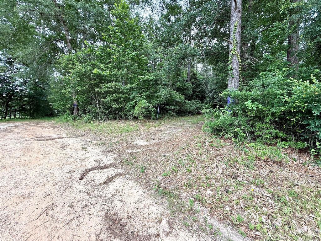 Twin Oaks Drive, Coldspring, Texas image 12