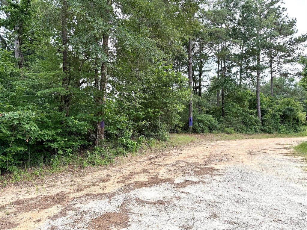 Twin Oaks Drive, Coldspring, Texas image 13