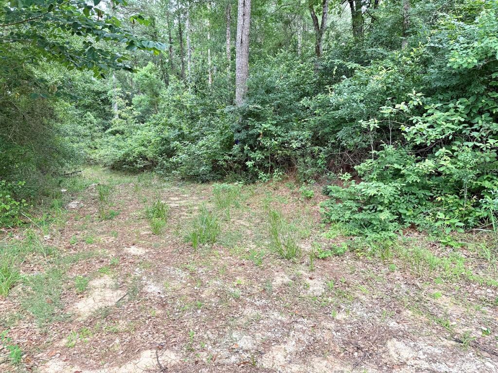 Twin Oaks Drive, Coldspring, Texas image 14