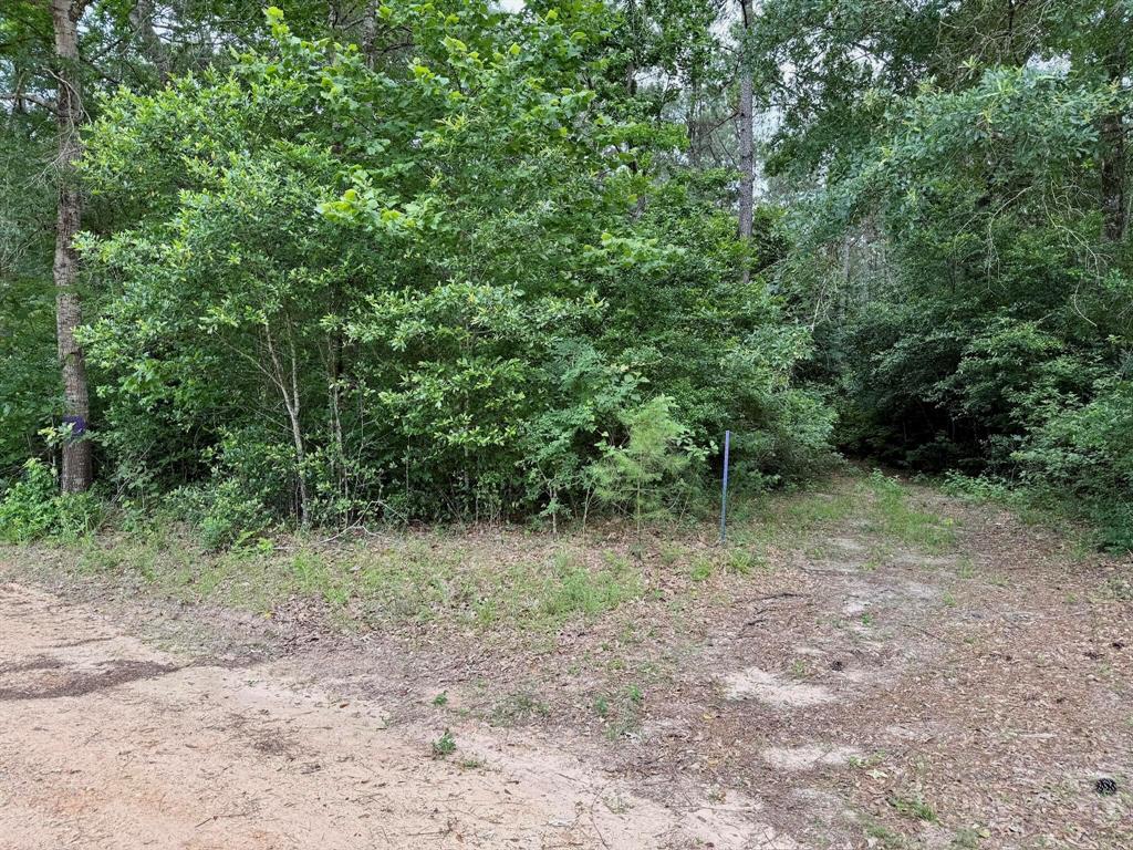 Twin Oaks Drive, Coldspring, Texas image 3